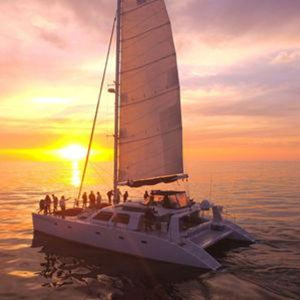 Catamaran Sail