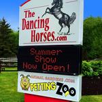 The Dancing Horses Theatre
