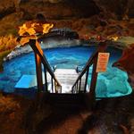Devil's Den Prehistoric Spring