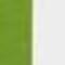 Lime / White