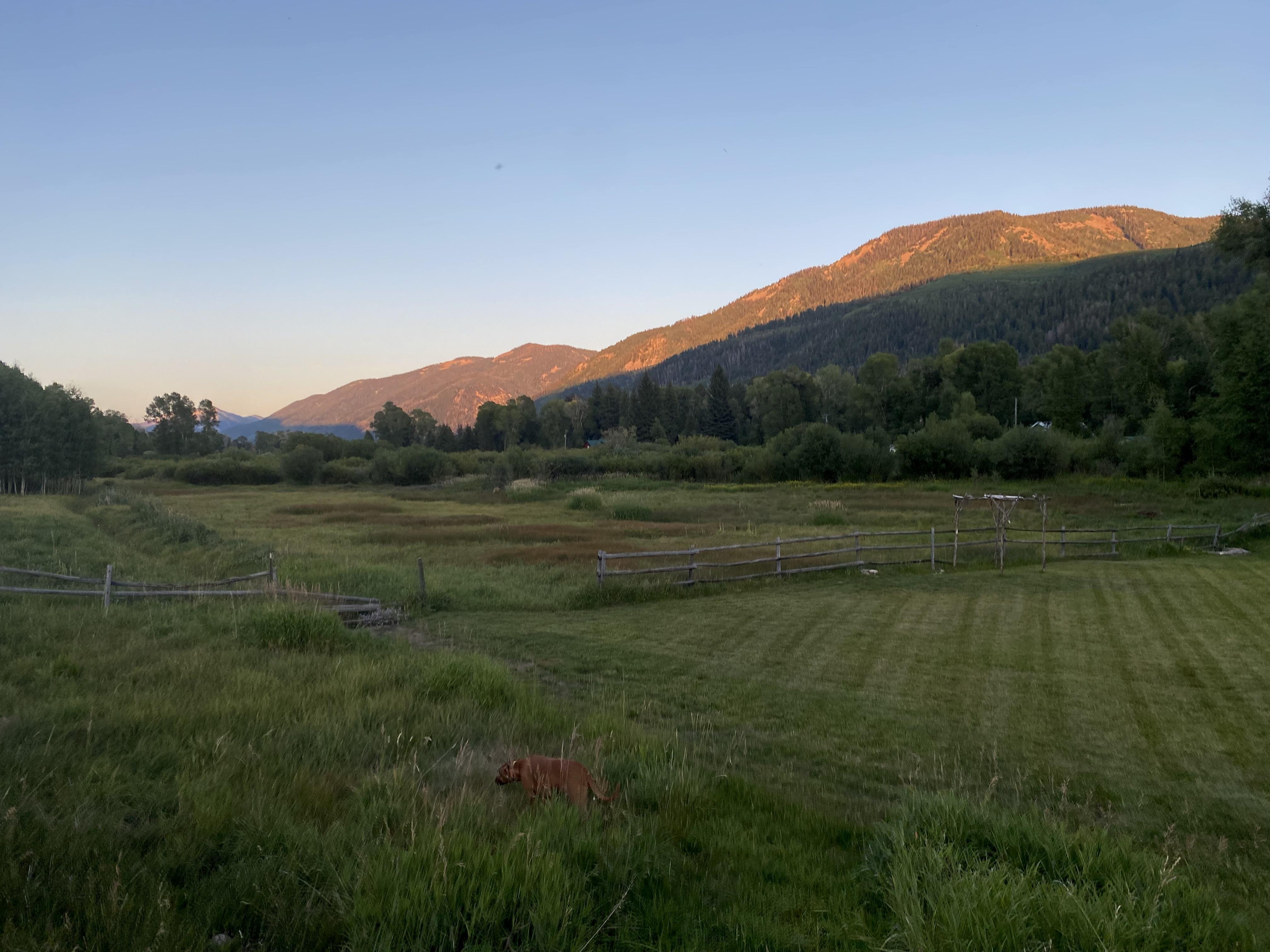 The Wedding Website of Gabriela Vaughan and Shaun O'Meara