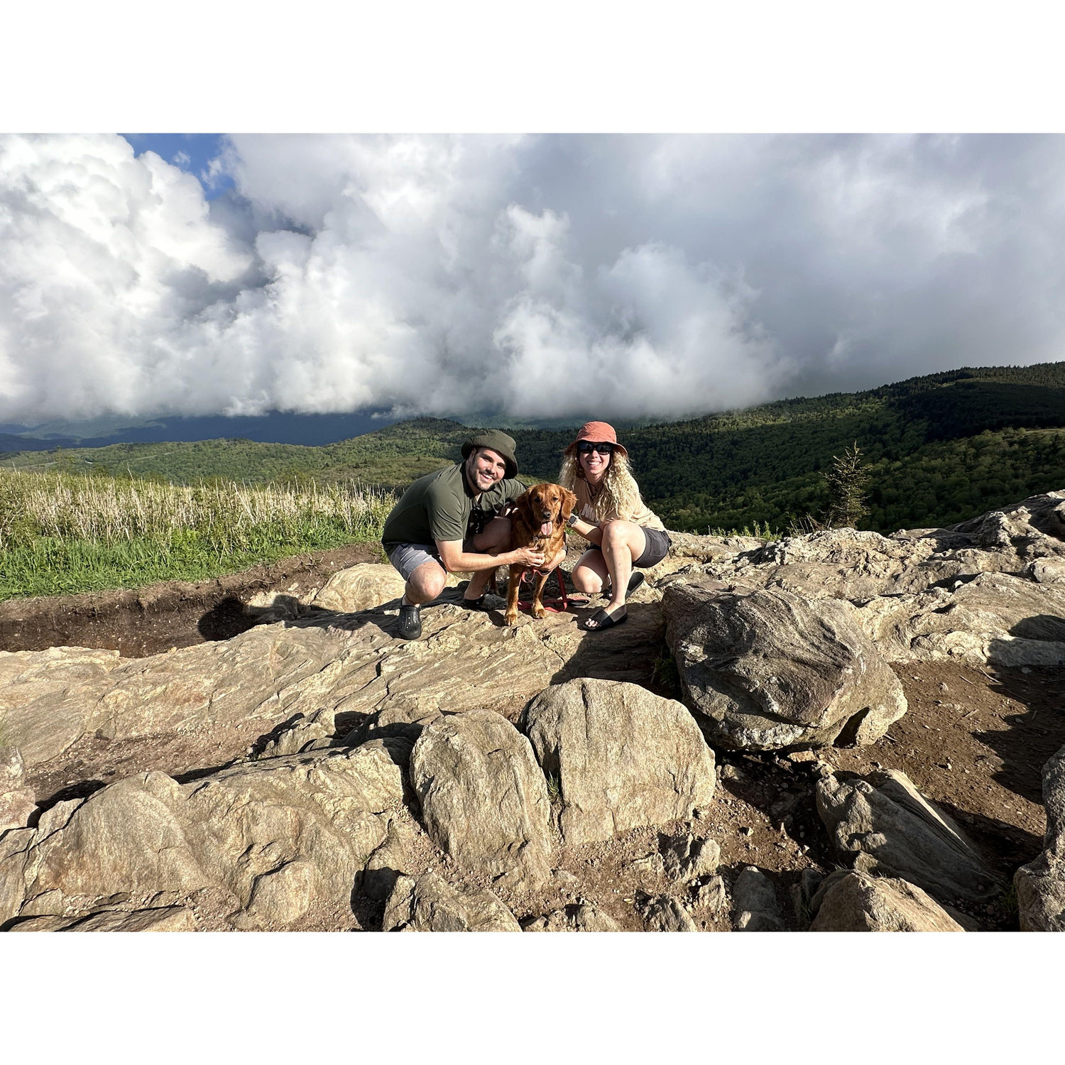 Took Sadie to our favorite hiking spot, Black Balsam Knob, NC to camp / May 25, 2024