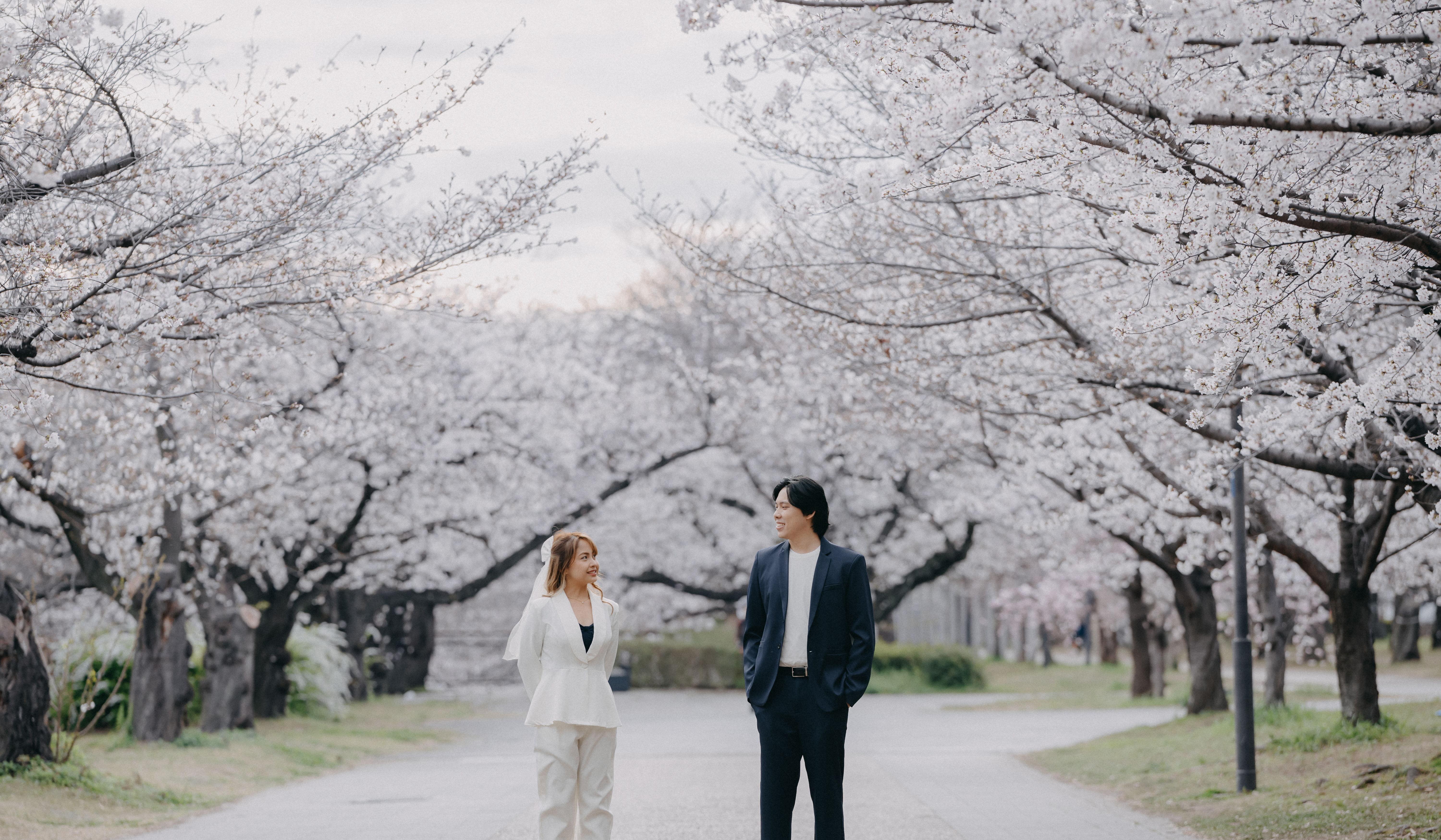 Hero Slideshow Image 0