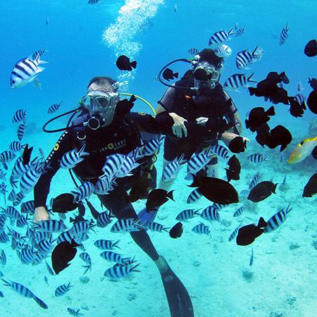 Scuba Diving in Bora Bora