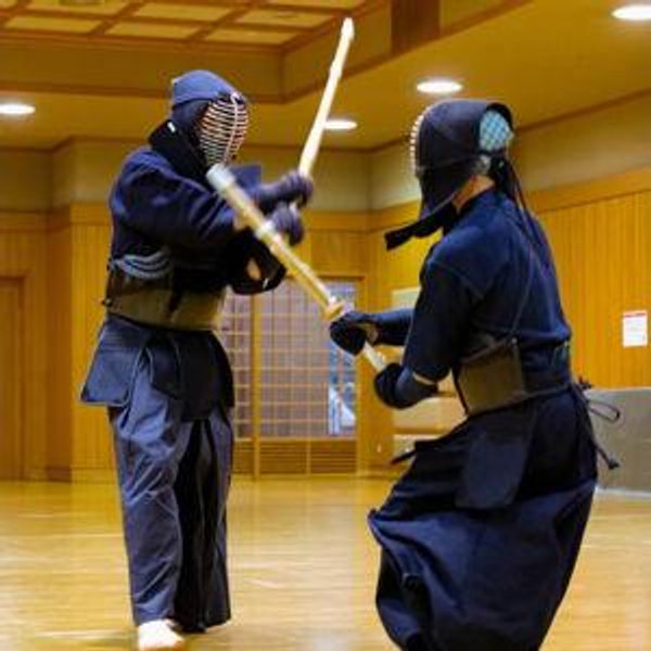 Kendo Lesson for Two