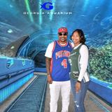 Georgia Aquarium
