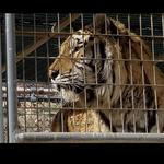 Keepers of the Wild Nature Park