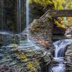 Watkins Glen