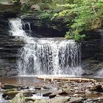 Ricketts Glen State Park