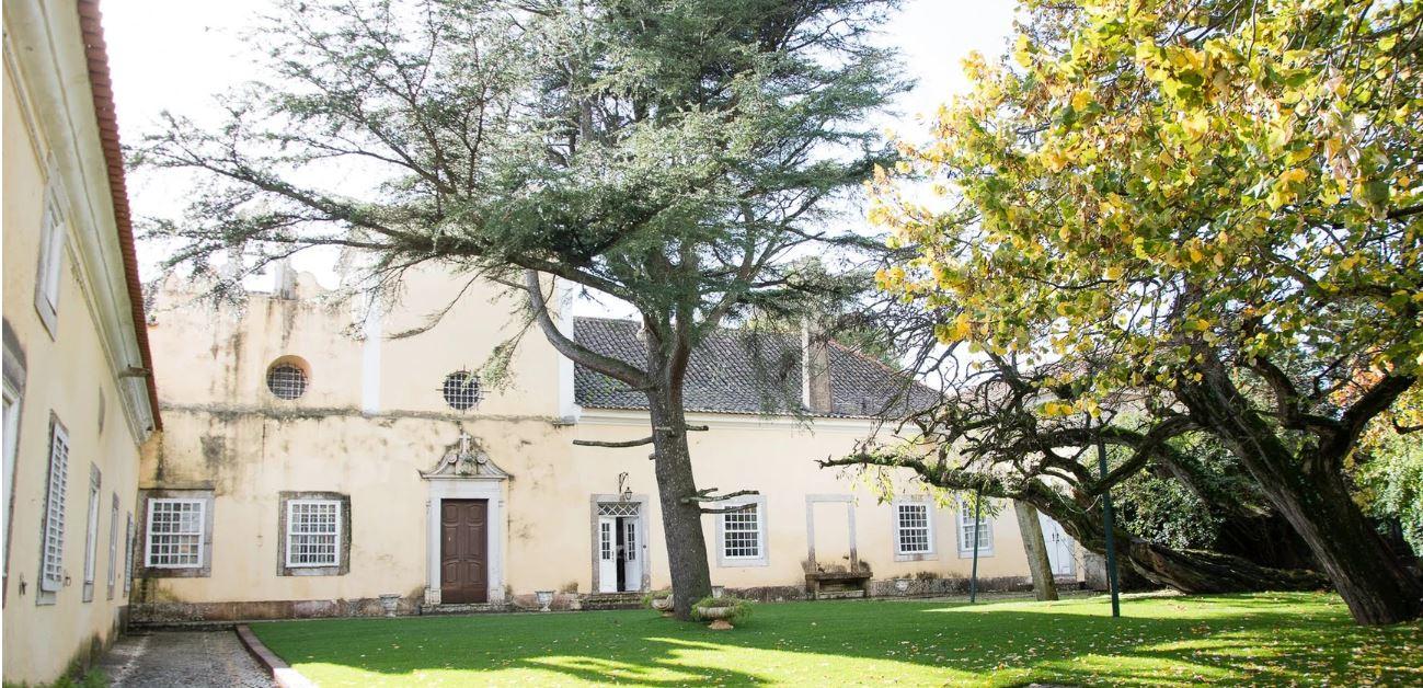 The Wedding Website of Aaron Grushkin and Rachael Axelrod
