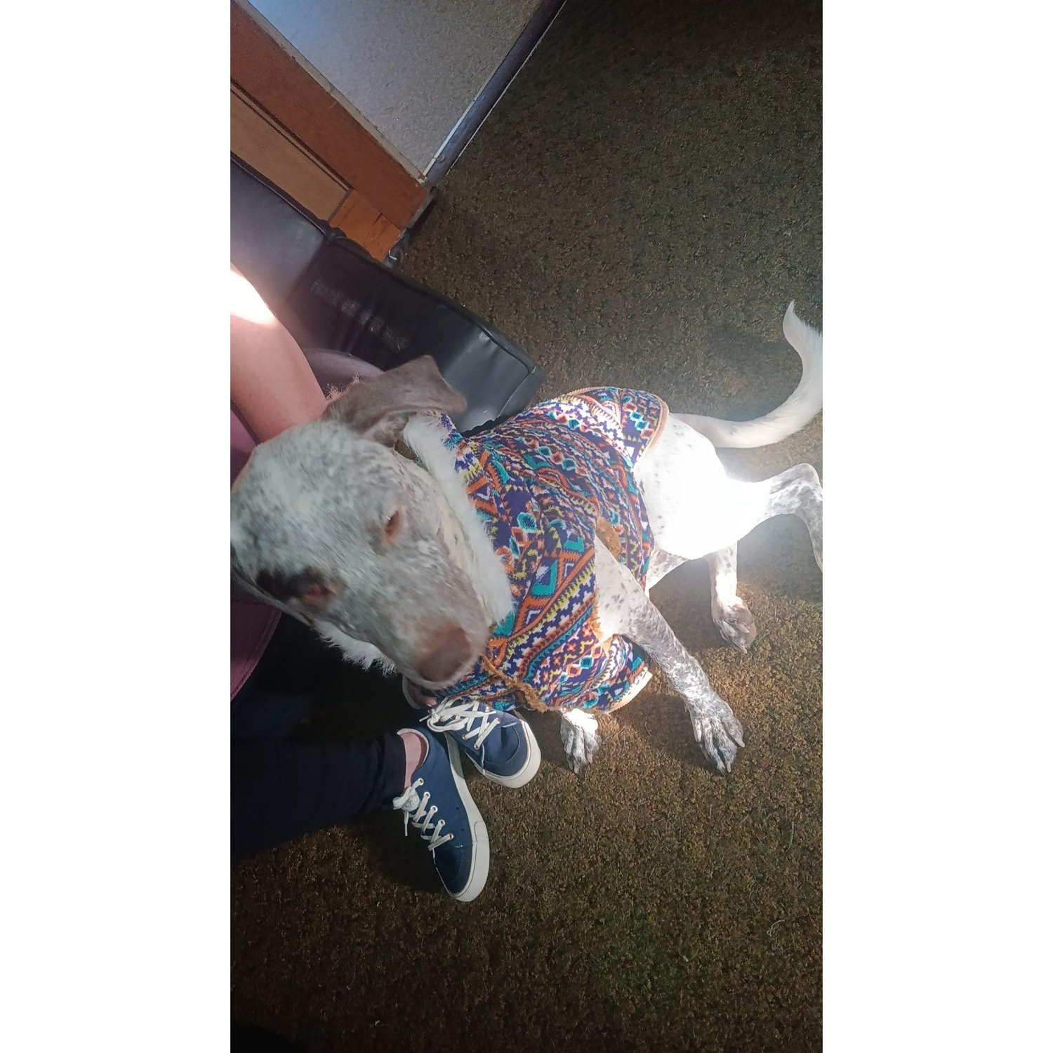 Gaia showing off her coat