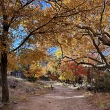 Ramsey Canyon Preserve