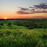 Konza Prairie Biological Station