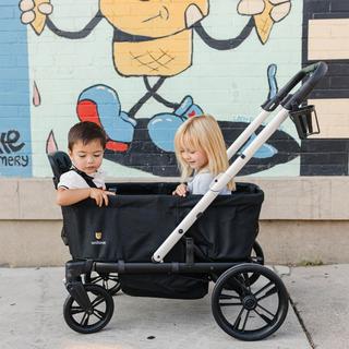 Trio Trolly Stroller Wagon