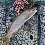 Fly Fishing