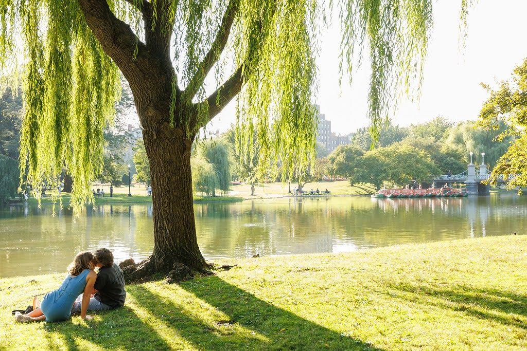 The Wedding Website of Morgan Felt and Angela Gelhar