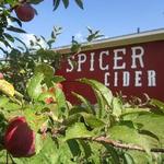 Spicer Orchards Farm Market