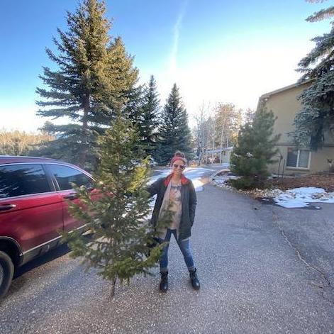 Our final Christmas tree from the Wandcrest property... We love you mams
