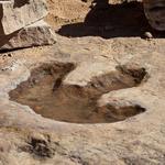 Dinosaur Footprints