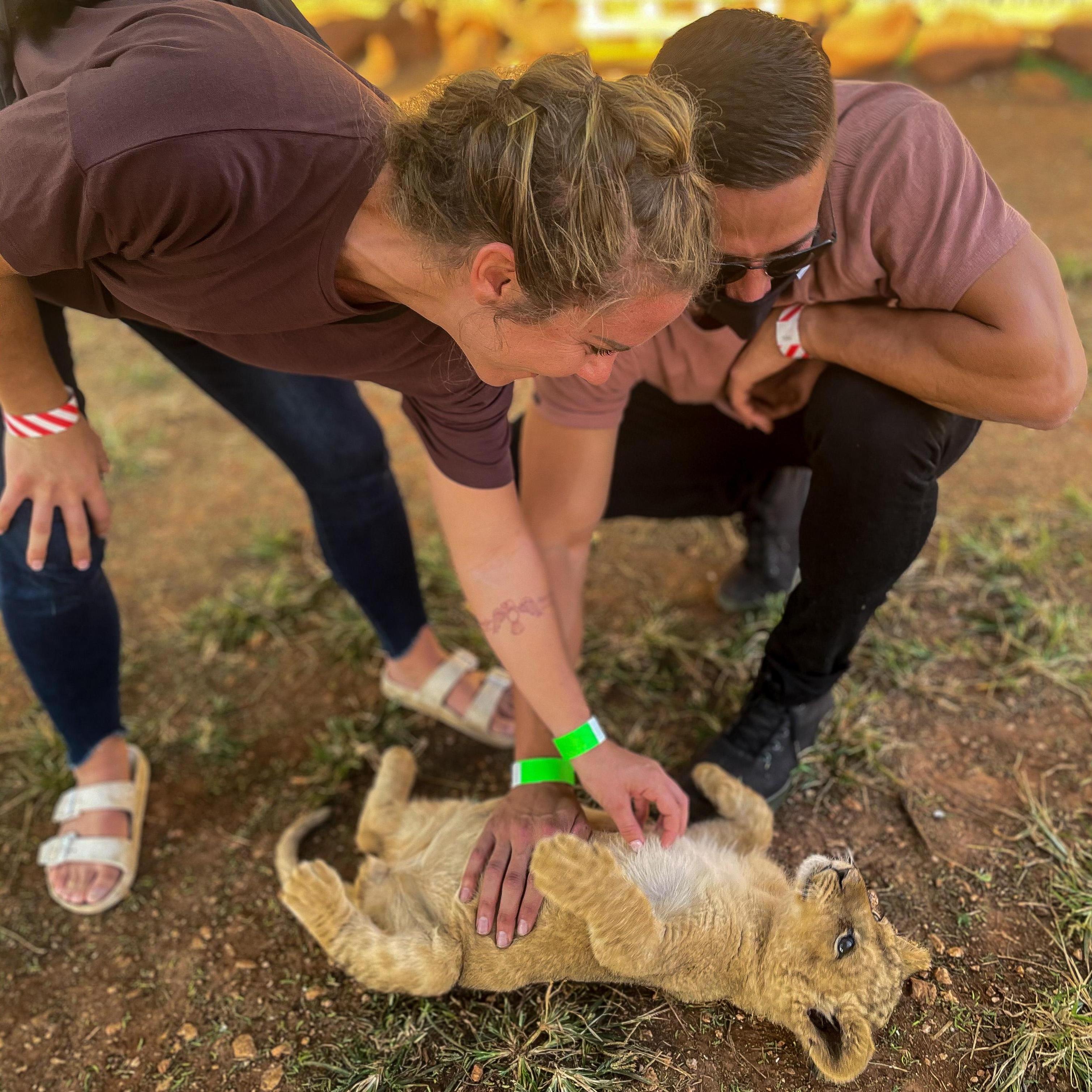 Meeting Simba! @ Akwaaba Predator Park, South Africa