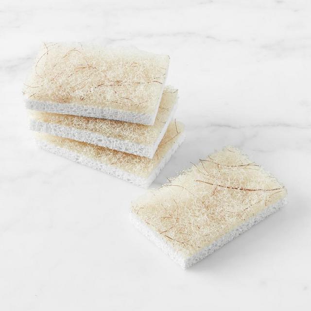 Full Circle Cleana Colada Coconut Scrubber Sponge, Set of 4