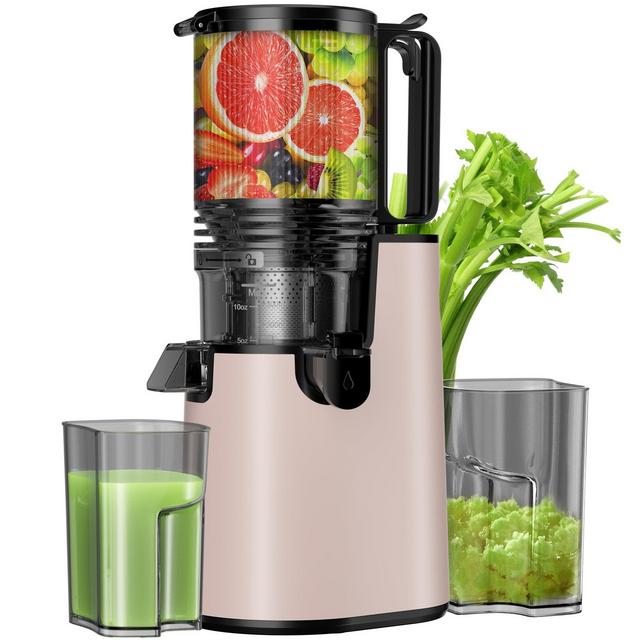 LQZ Cold Press Juicer Professional Slow Masticating Juicer for Whole Vegetables & Fruits with High Juice Yield Pink