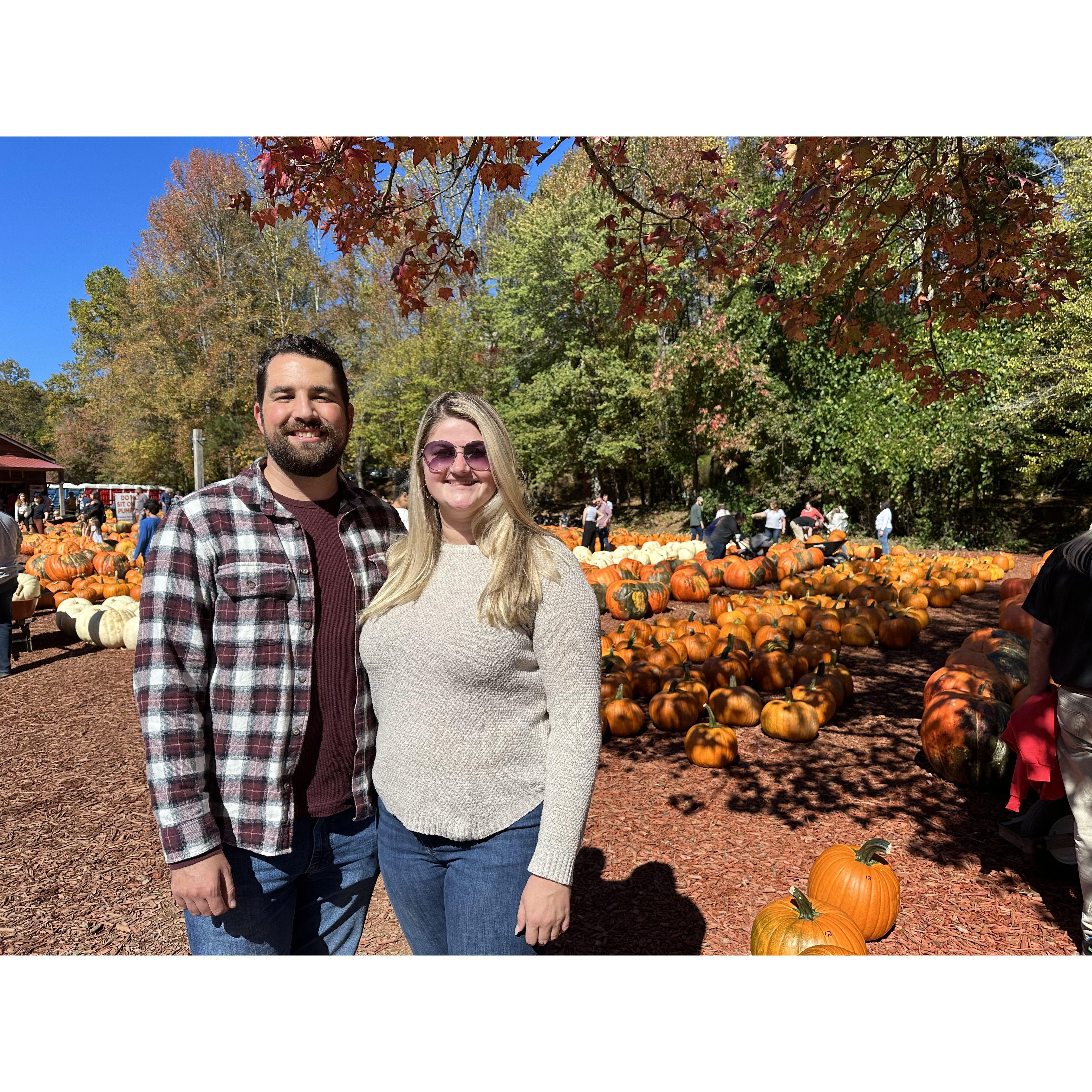 Burt's Pumpkin Patch - November 2023