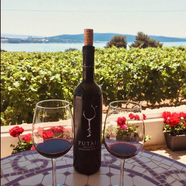 Putalj Wine Tasting