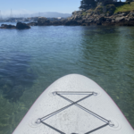 Adventures By the Sea