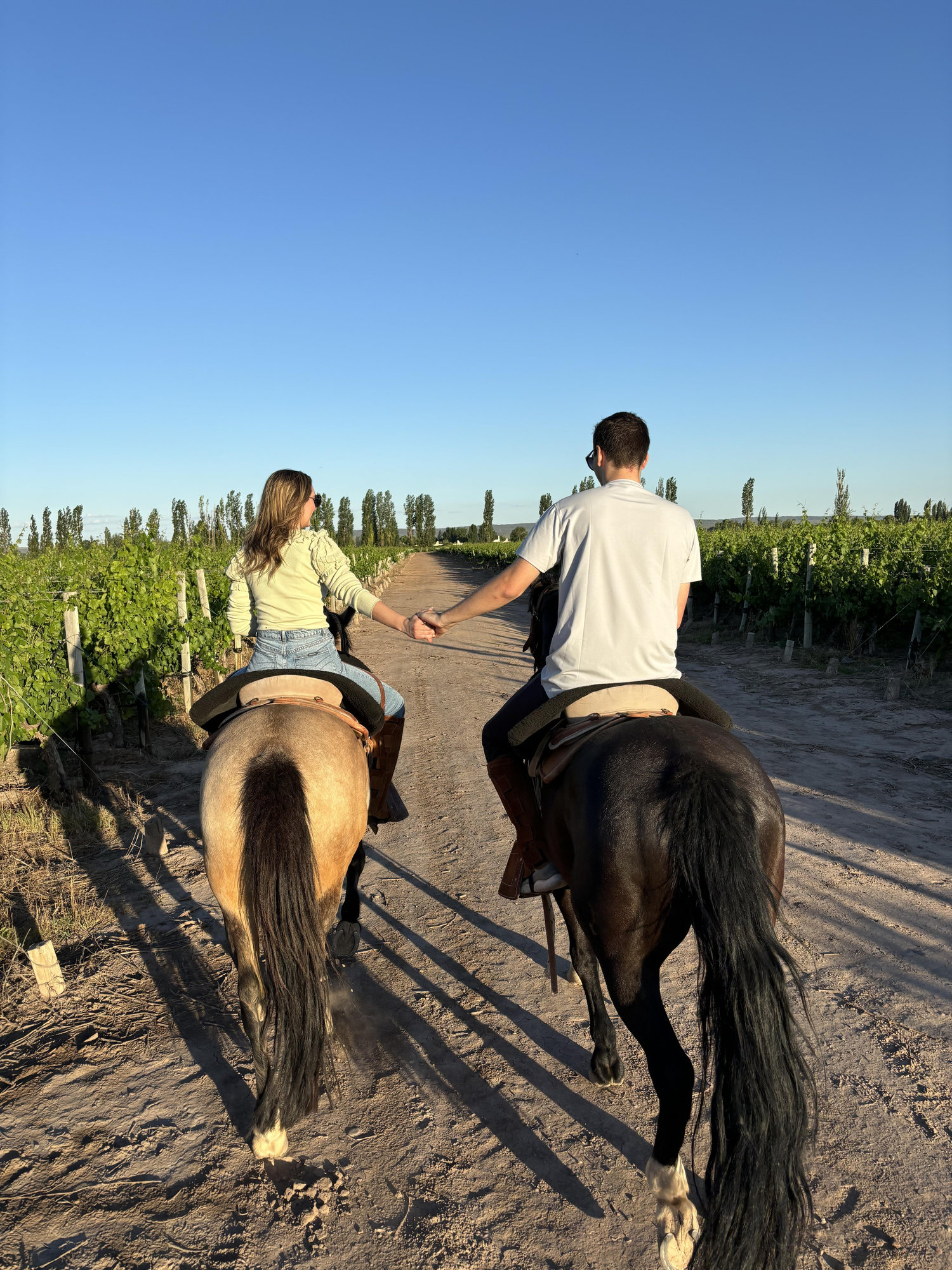 The Wedding Website of Annie Schmaeling and Matthew Marrero