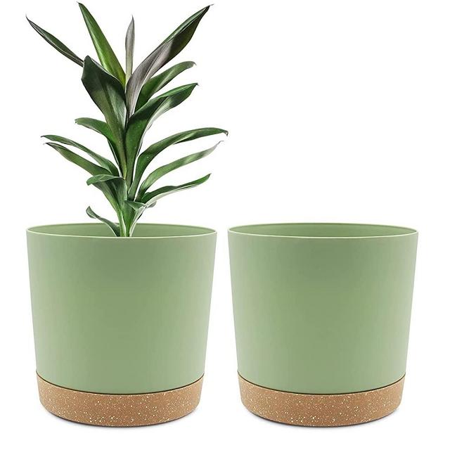 Plant Pots Set of 2 Pack 8 inch,Planters for Indoor Plants with Drainage Holes and Removable Base,Saucer Modern Decorative for Outdoor Garden Planters(Green 8in)