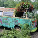 Groovy Plants Ranch