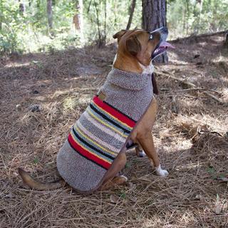 Vintage Camp Pet Coat