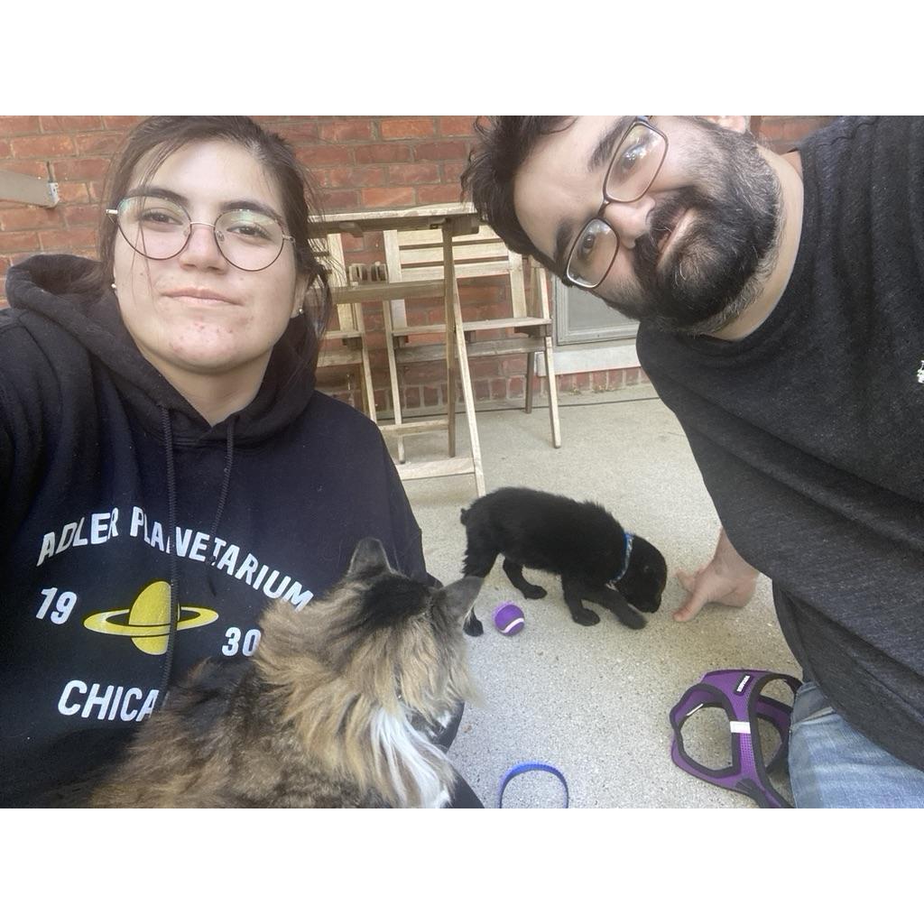 Introducing Pato to Wicket