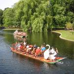 Swan Boats