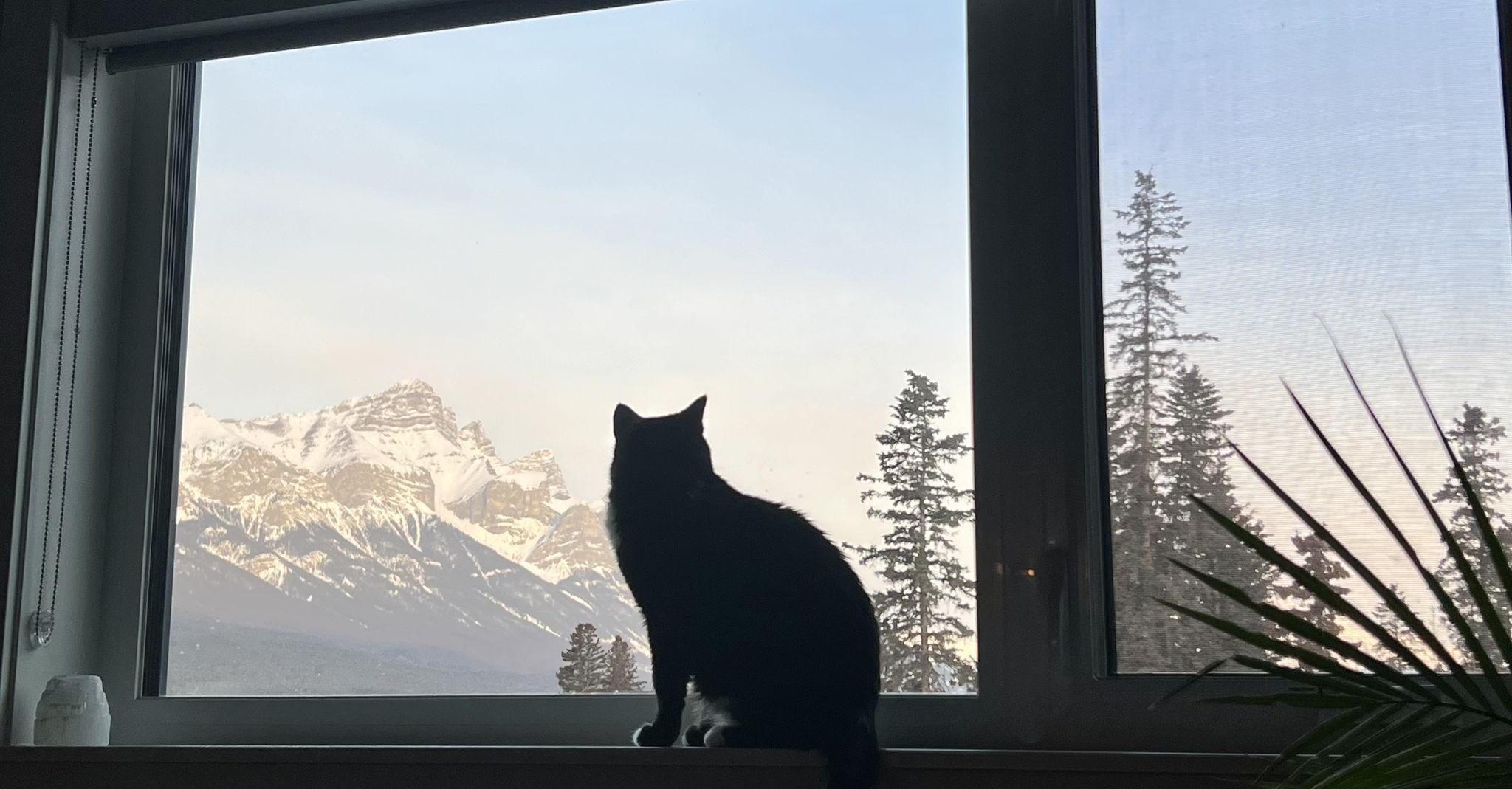 The Wedding Website of Jennifer Walsh and Mark Fardy