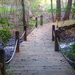 Marsh Bridge & Trails