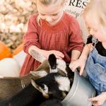 Twin Creeks Farm