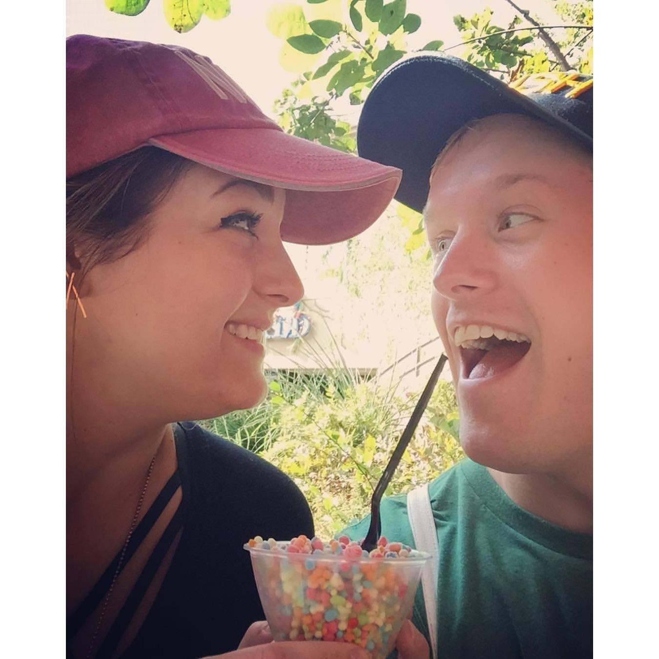 Zoo 2017