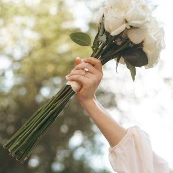 Our newlywed fund