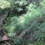 Devil's Millhopper Geological State Park