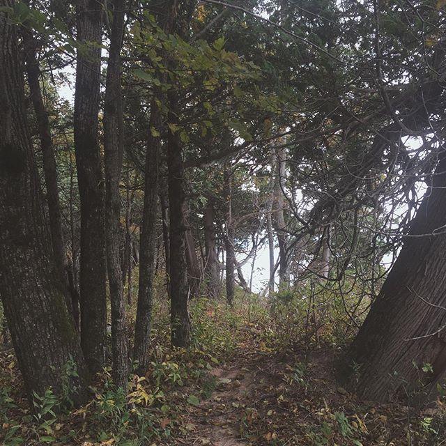 November 2nd, 2015:
Hiking together in the woods of Michigan. 🌲