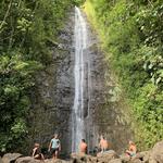 Manoa Falls Hike