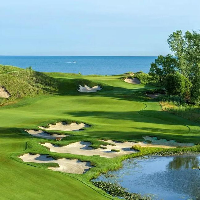Honeymoon golfing