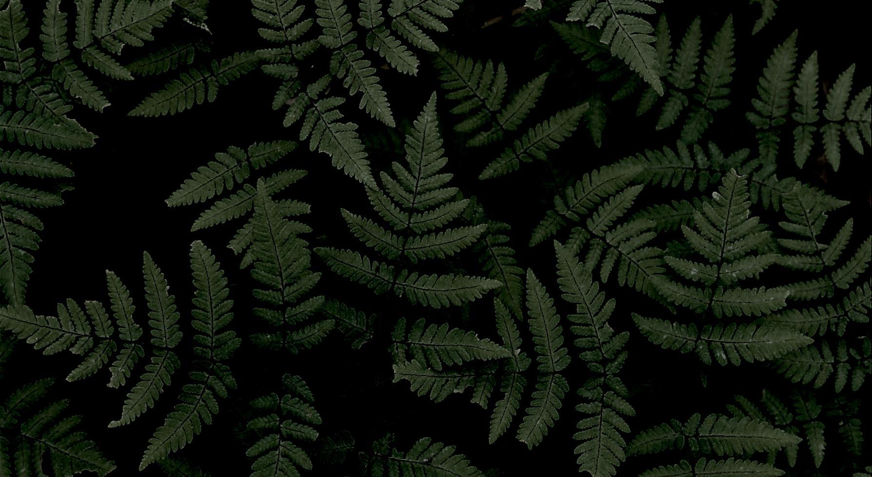 Footer image