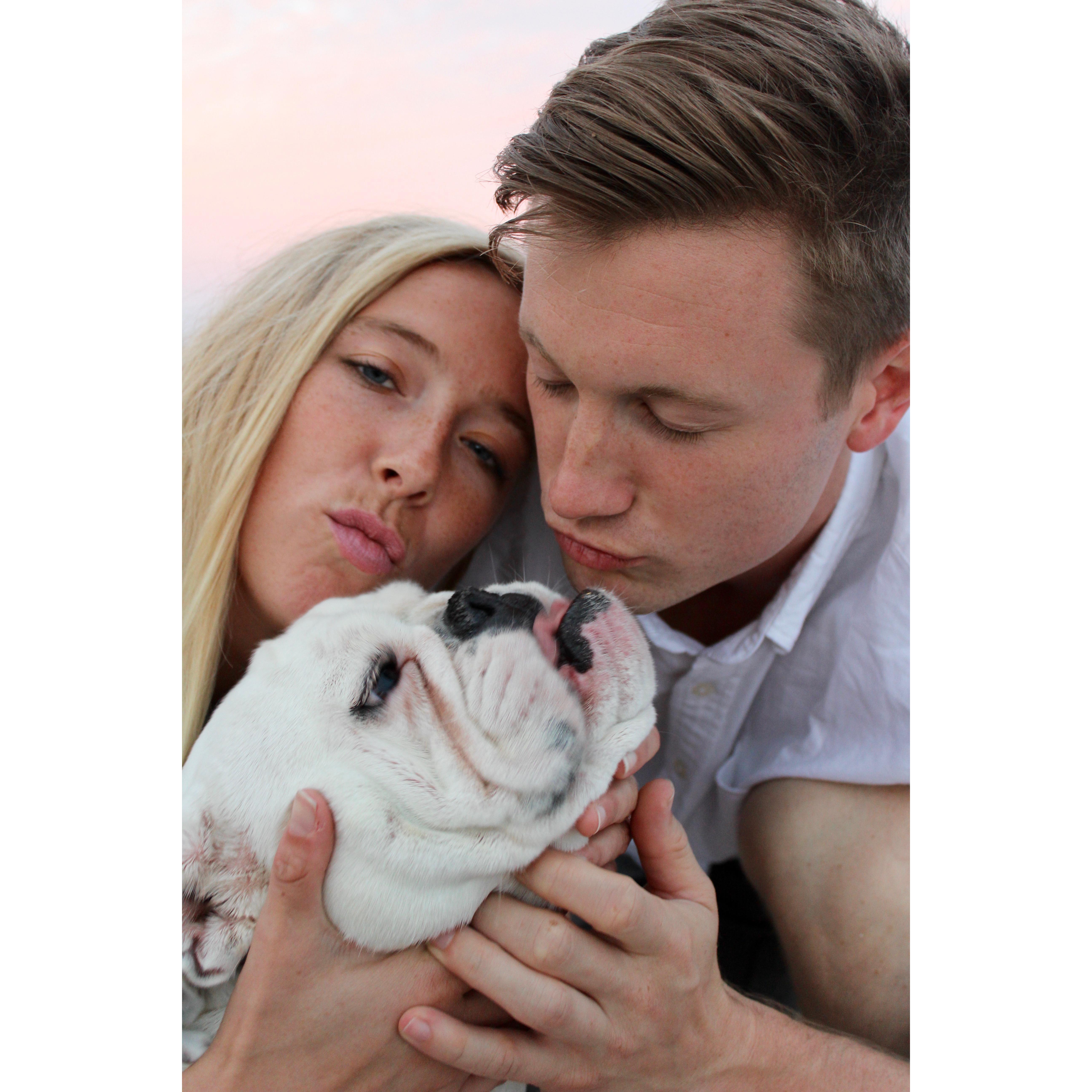 Love is in the air. Fifi and Fiancés. Semper Fi!