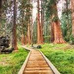 Big Basin