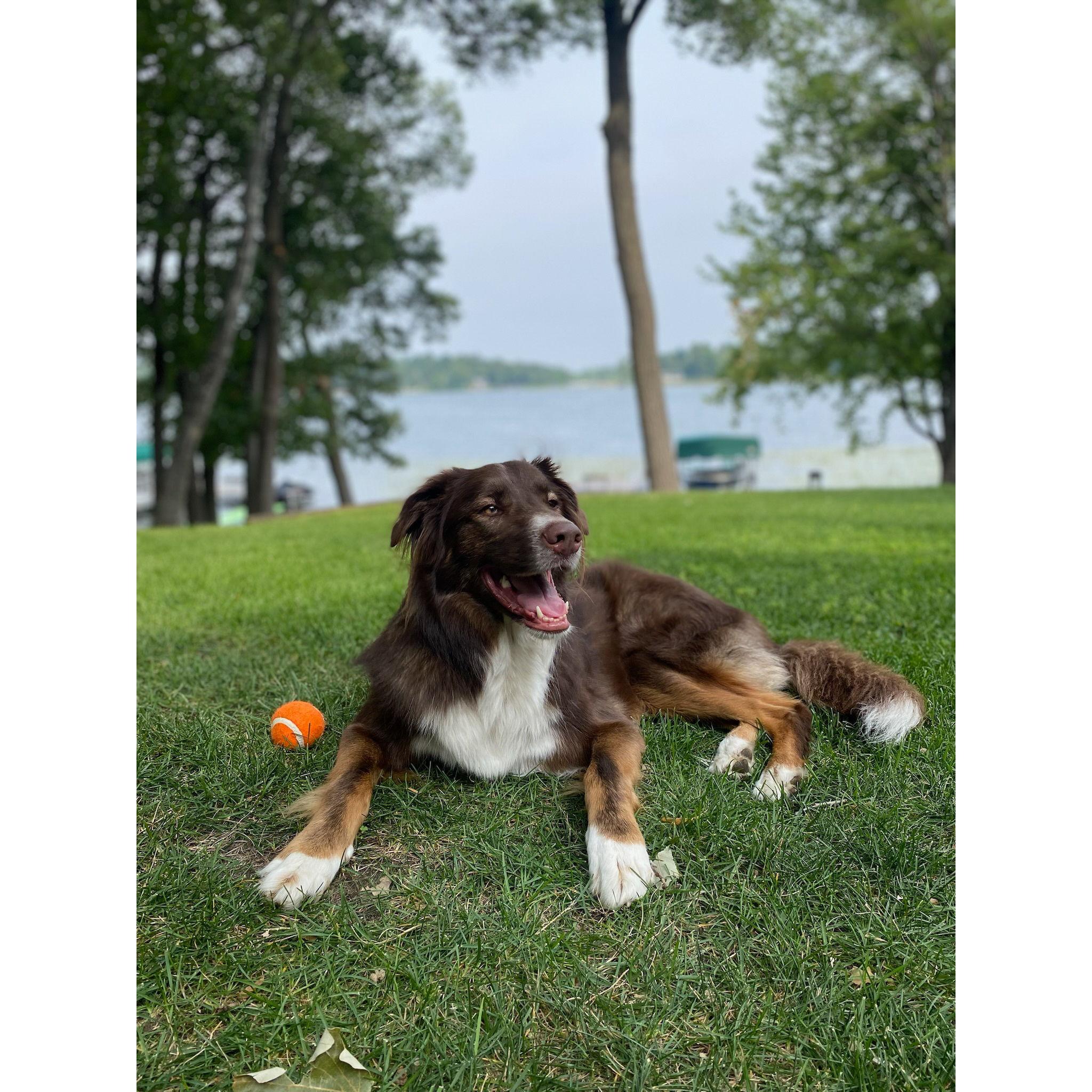 Summer 2022 Kona at the lake