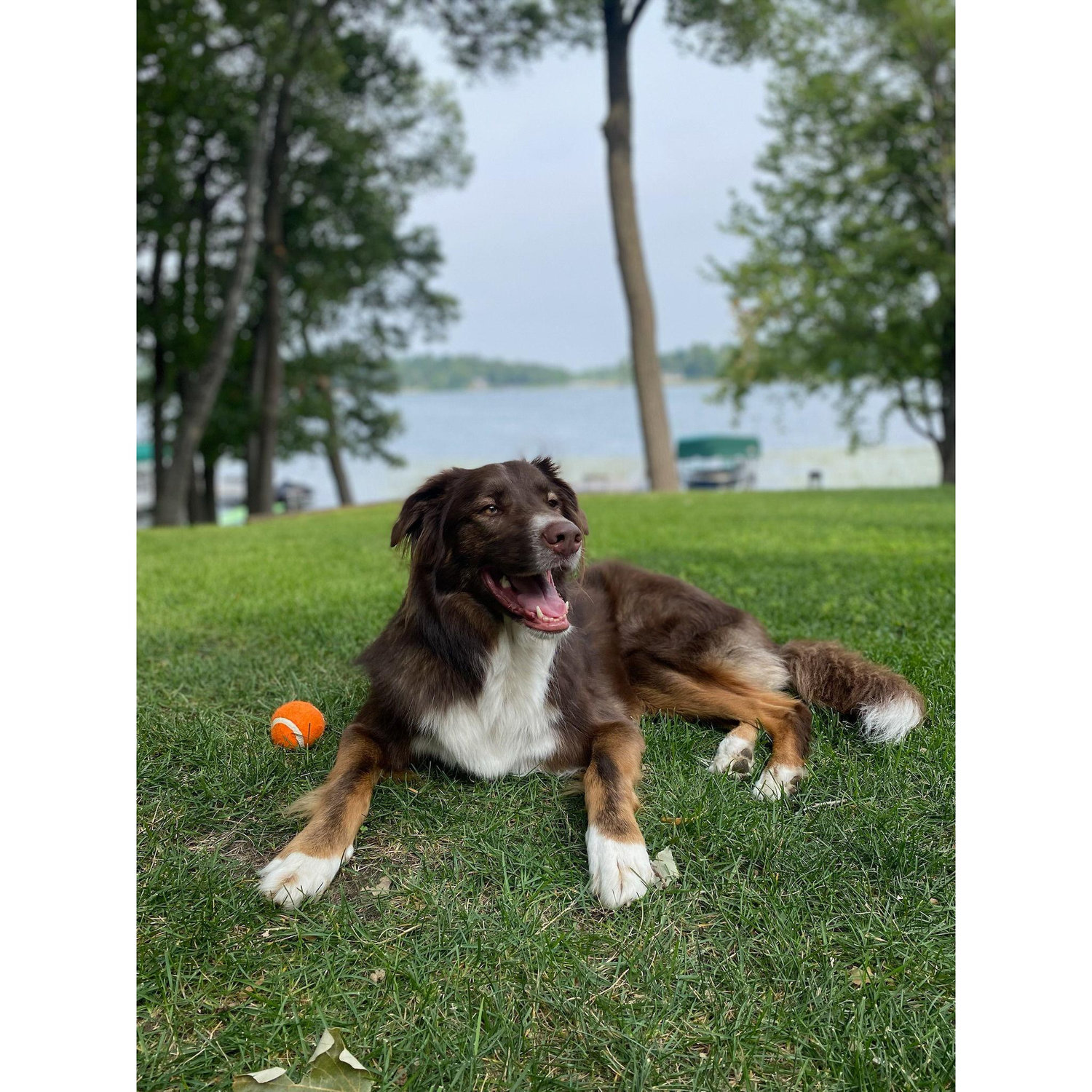 Summer 2022 Kona at the lake