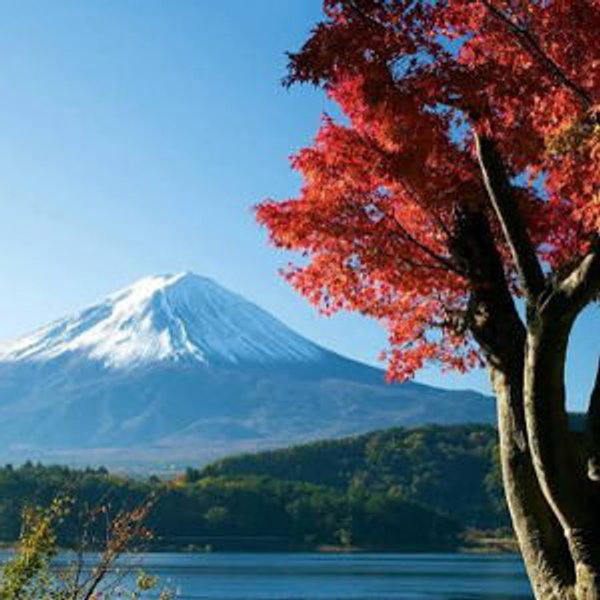 Honeymoon Fund to Japan!